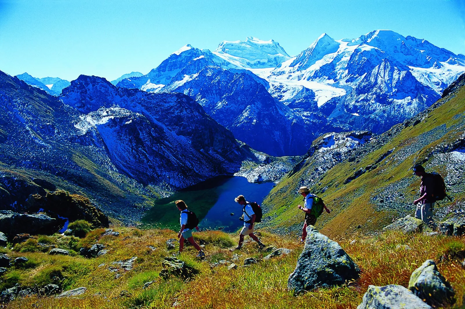 Zur Linde-Gebieden zomer 20km