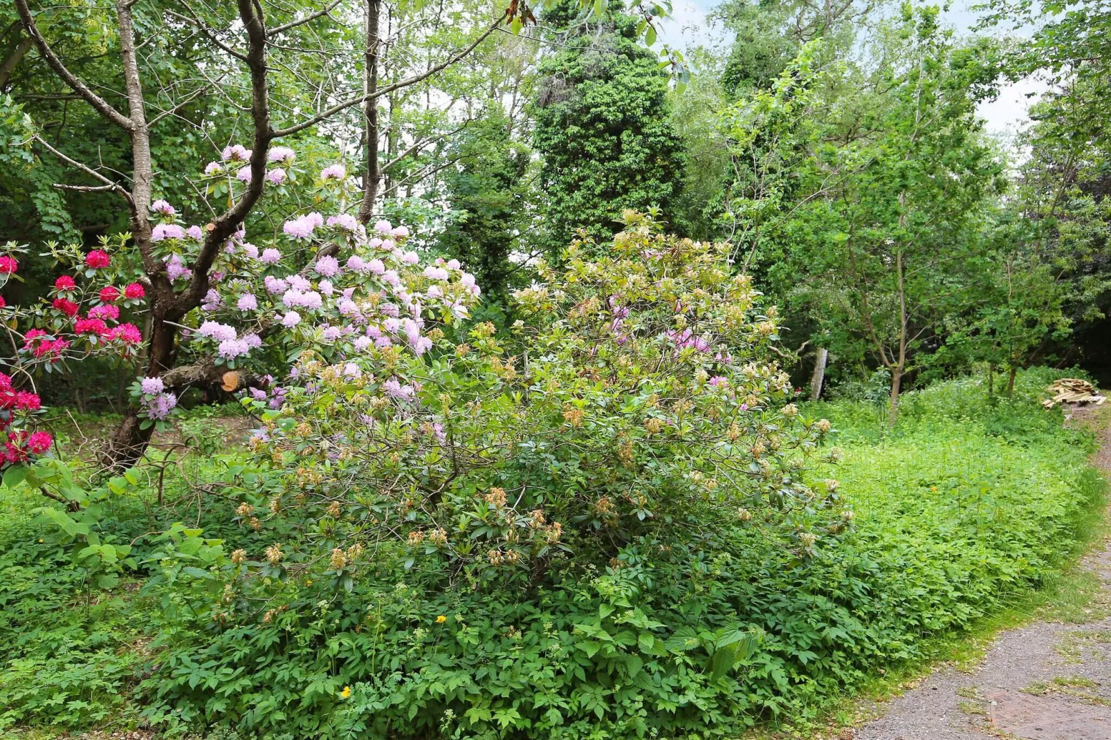 6 persoons vakantie huis in Dronningmølle-By Traum-Uitzicht