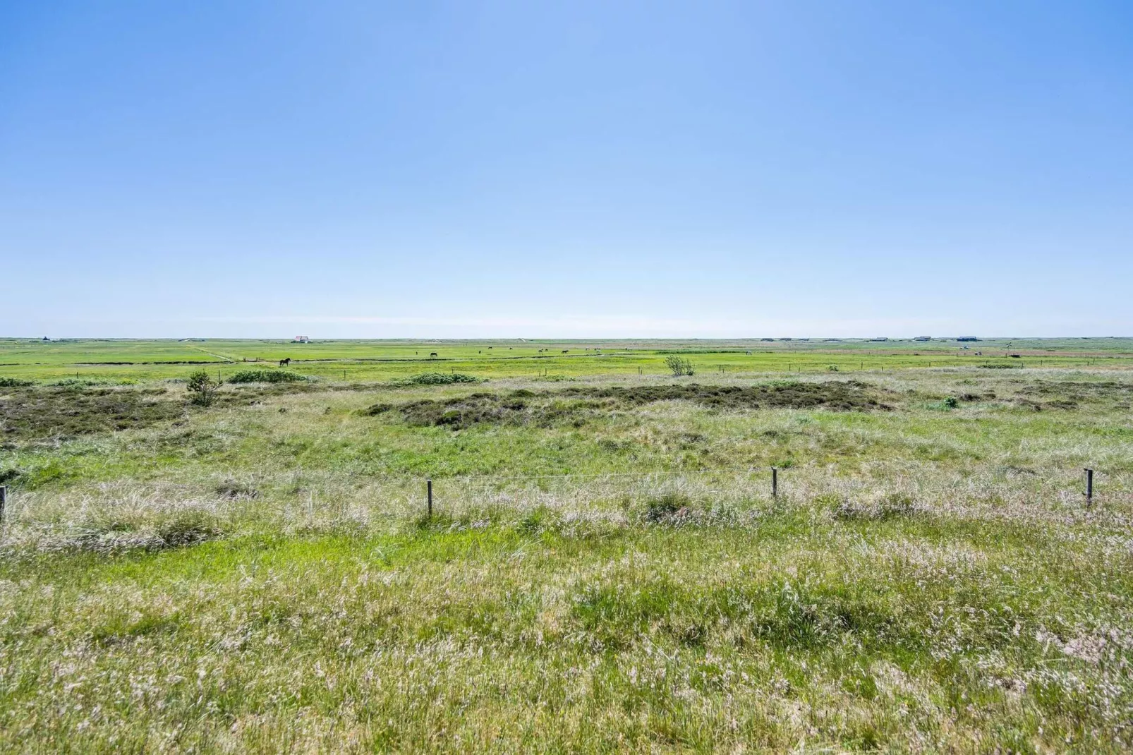 6 persoons vakantie huis in Blåvand-Uitzicht