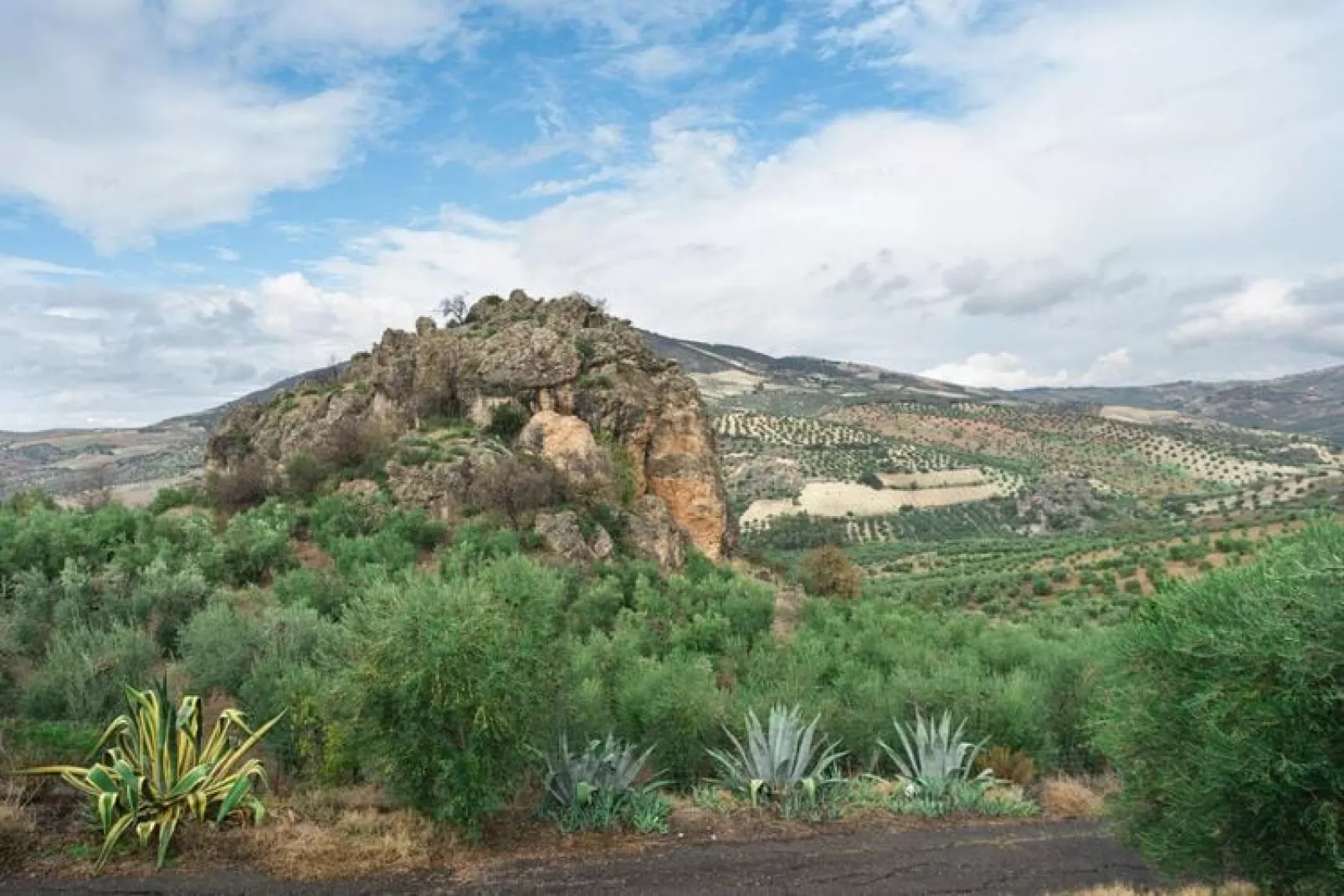 Salado Vagón - CT 116 CA-Uitzicht zomer