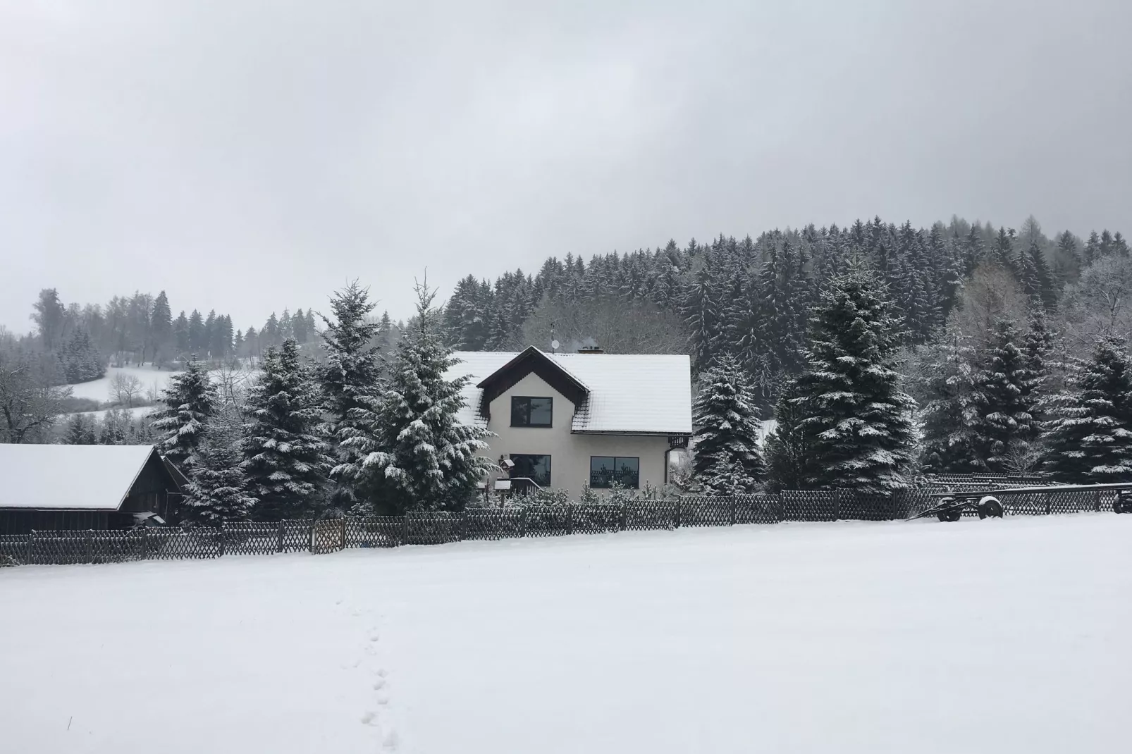 Antonio-Gebied winter 1km