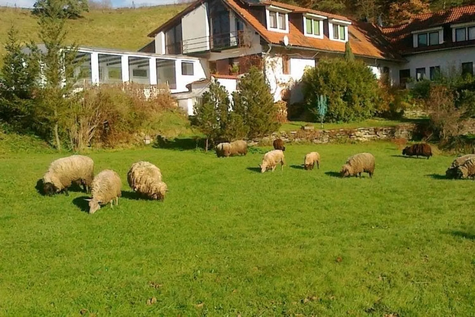 Villa Stastny-Buitenkant zomer