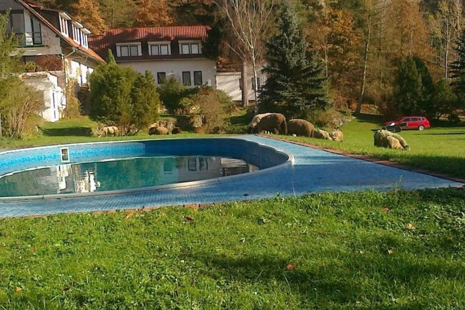 Villa Stastny-Zwembad