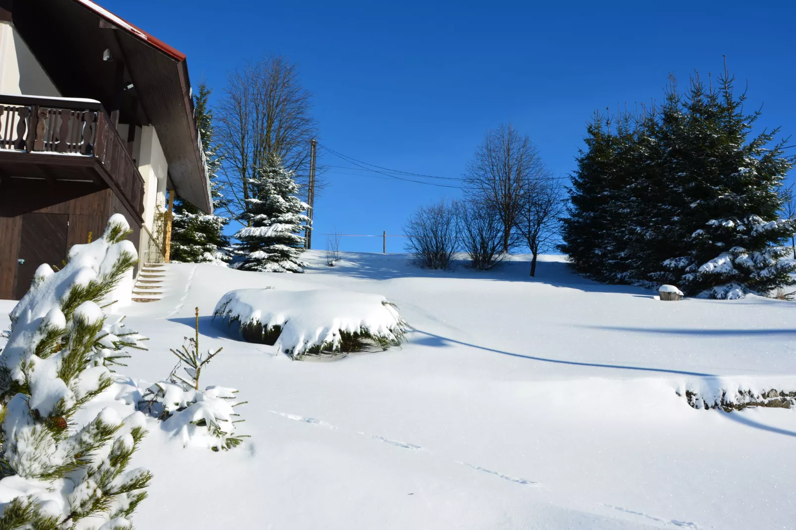 PEJA-Tuin winter