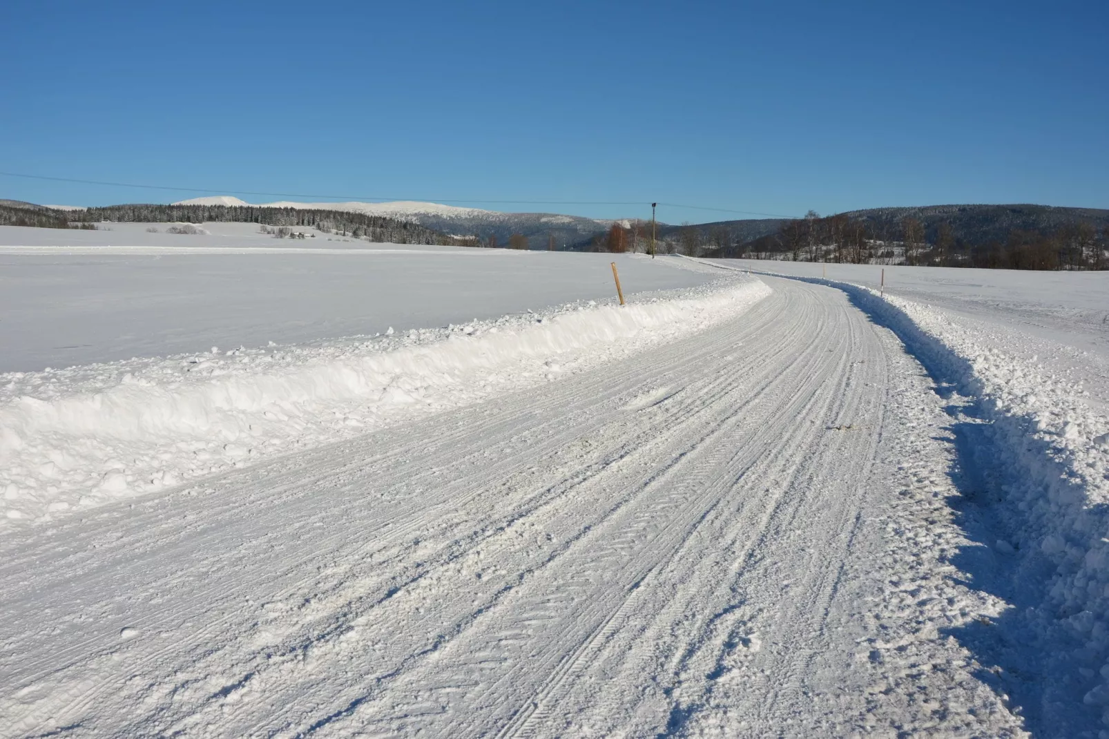 PEJA-Gebied winter 1km