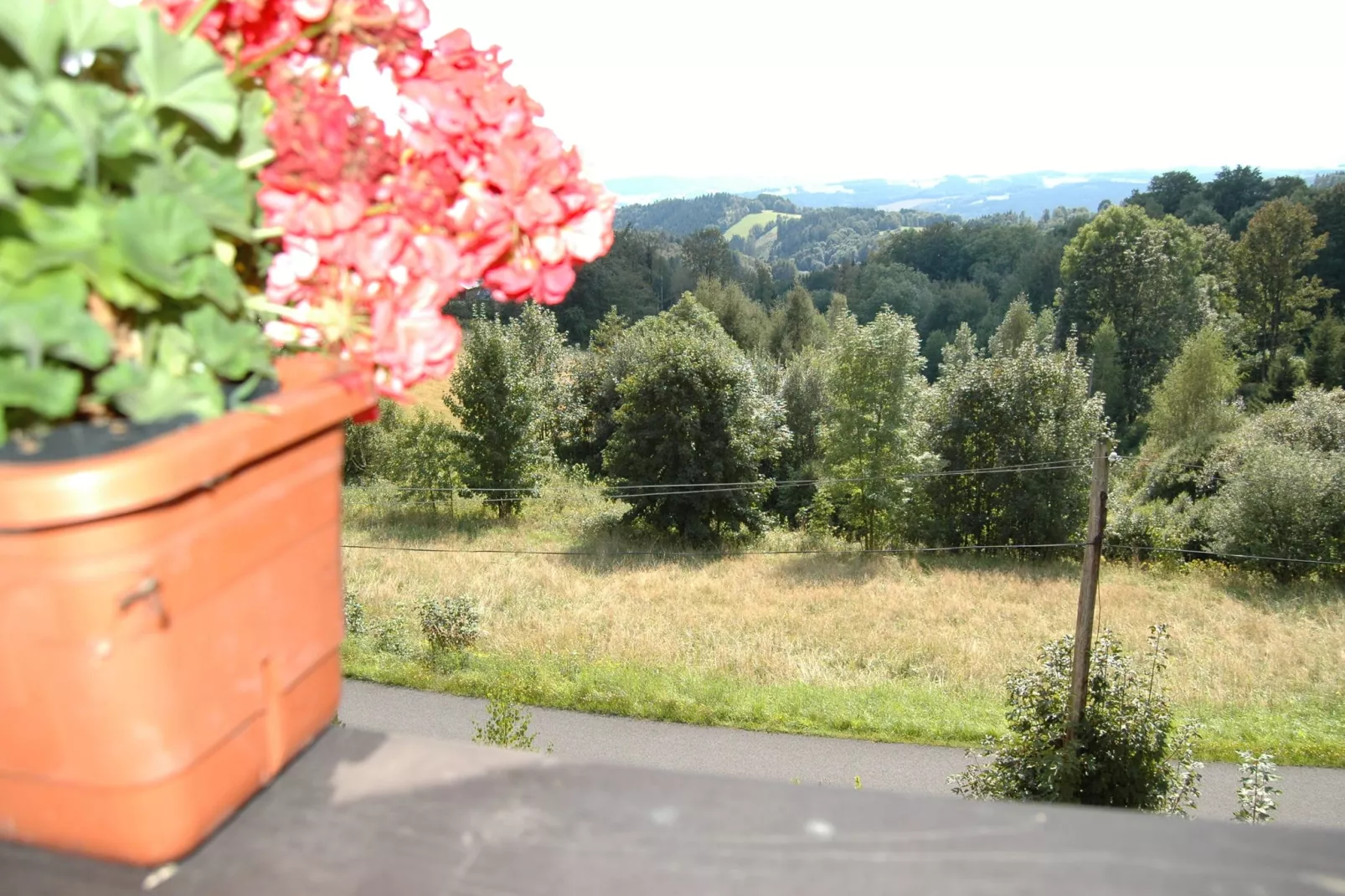 PEJA-Uitzicht zomer