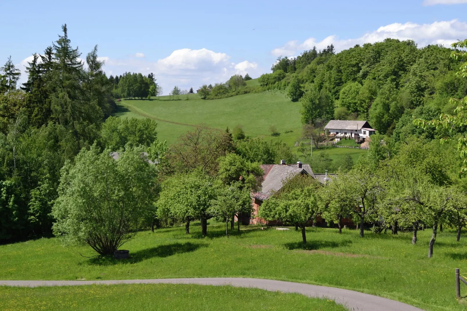 Berghaus-Gebieden zomer 1km