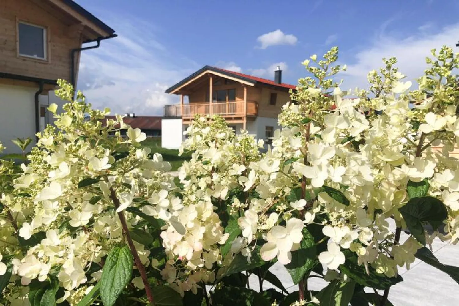 Chalet Falkenstein Inzell-Tuinen zomer