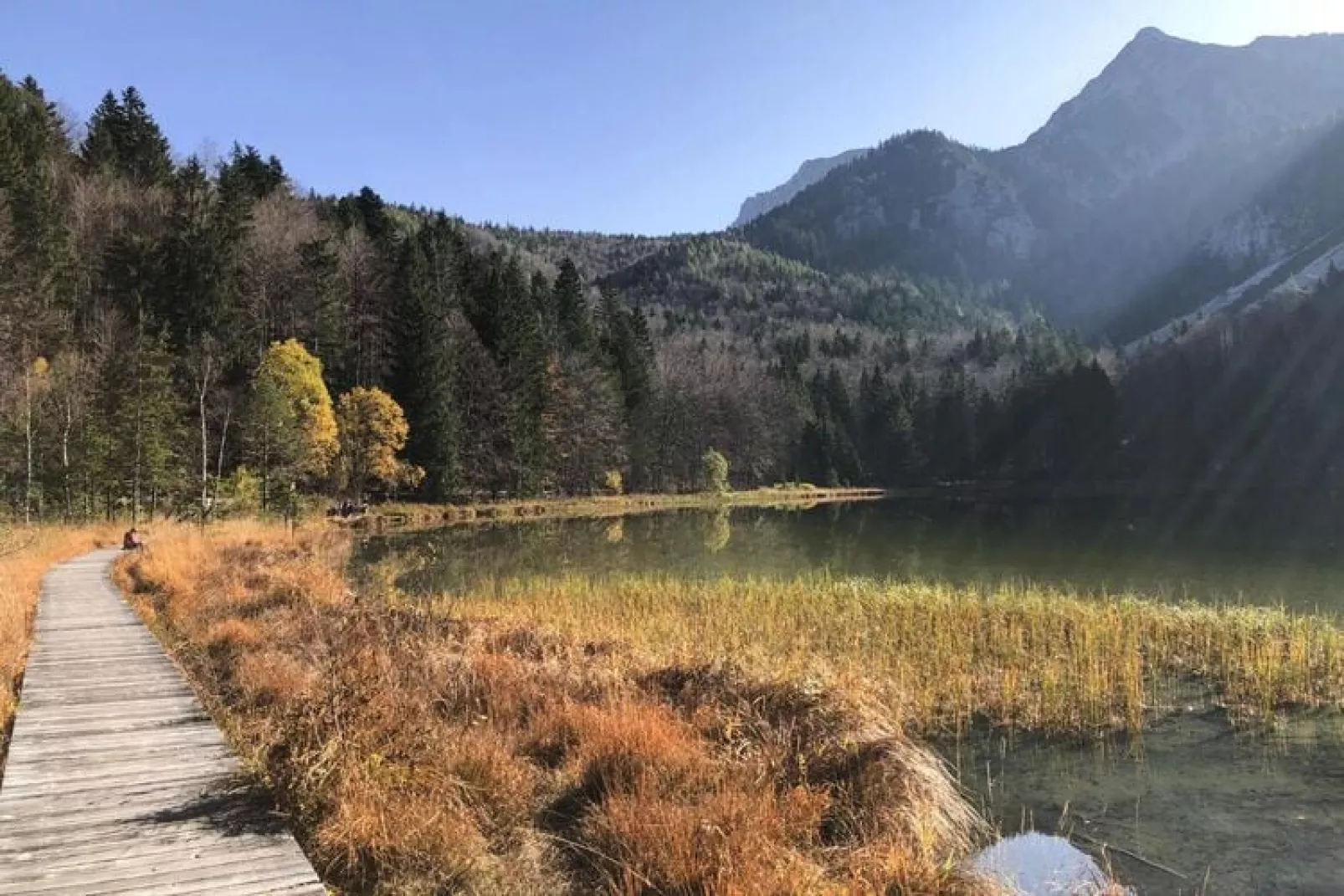 Chalet Falkenstein Inzell-Gebieden zomer 5km