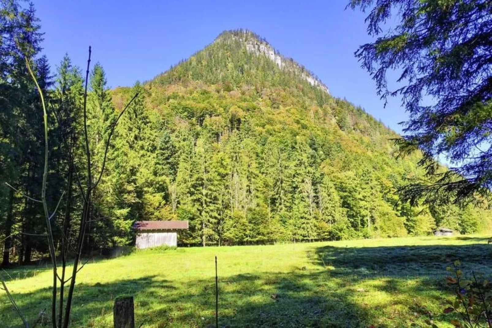 Chalet Falkenstein Inzell-Uitzicht zomer