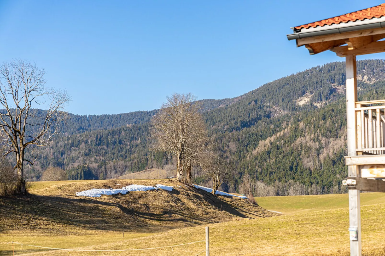 Chalet Charivari Inzell-Uitzicht zomer