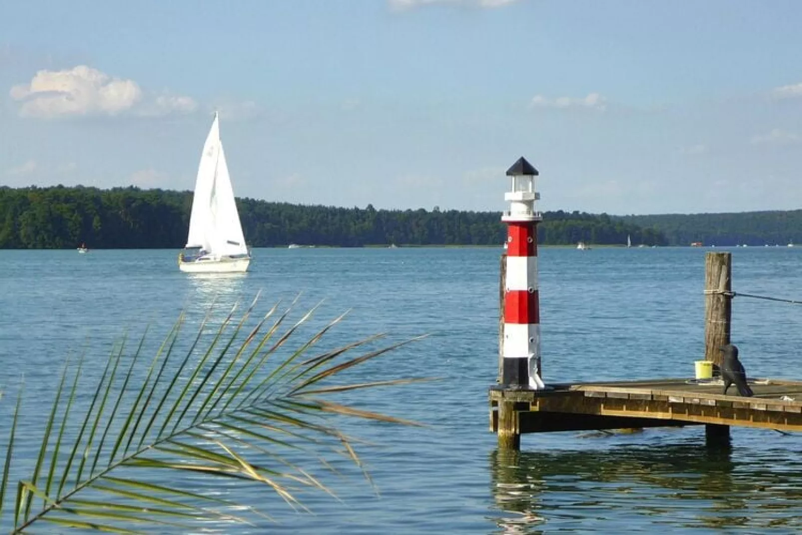 Waldhaus 300 qm-Gebieden zomer 1km