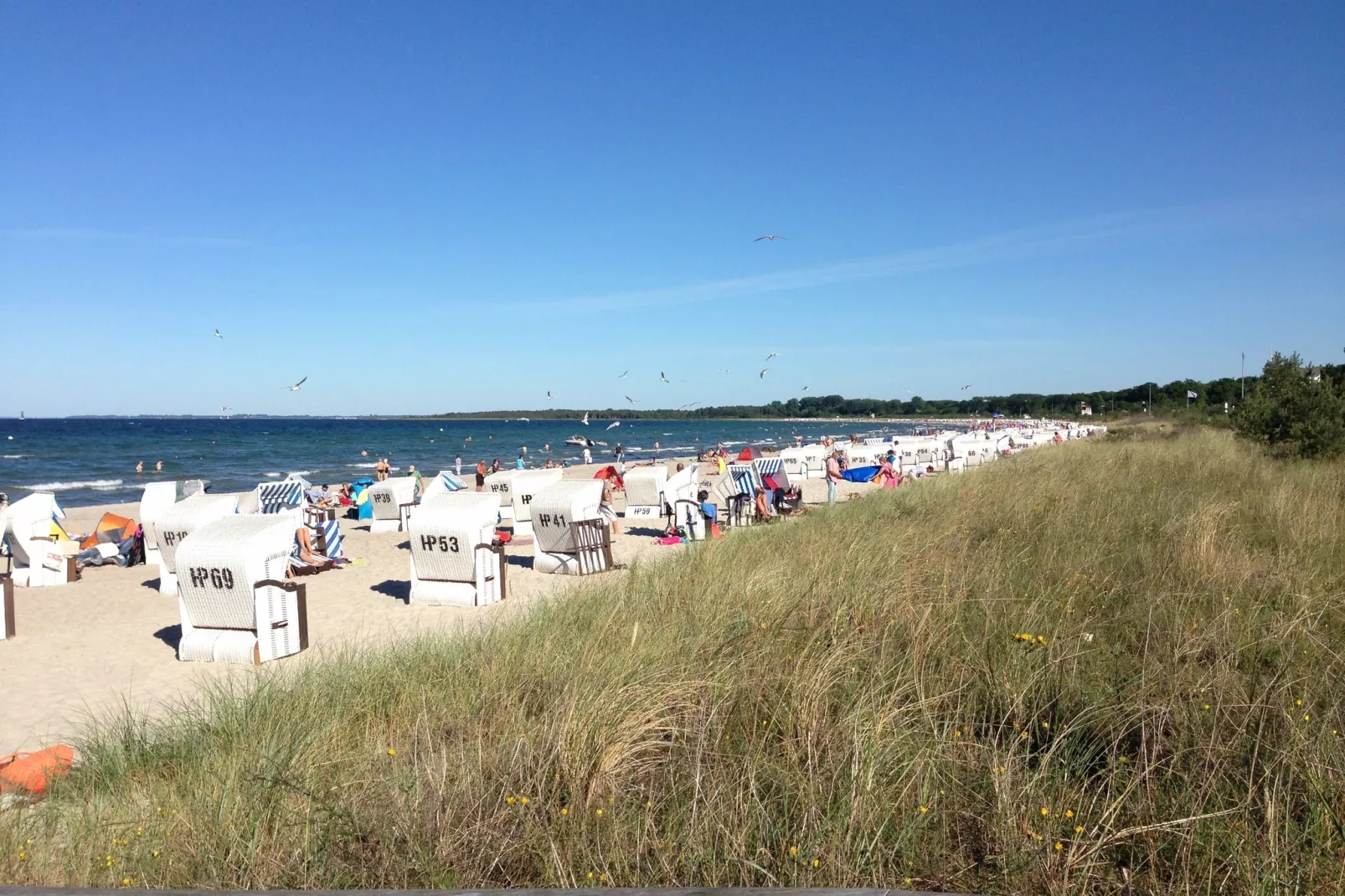 Windspiel-Gebieden zomer 20km