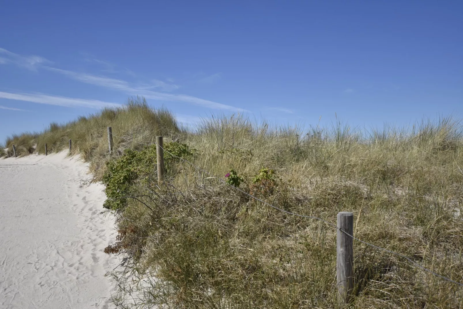 Wohlfühlen am Meer-Gebieden zomer 1km