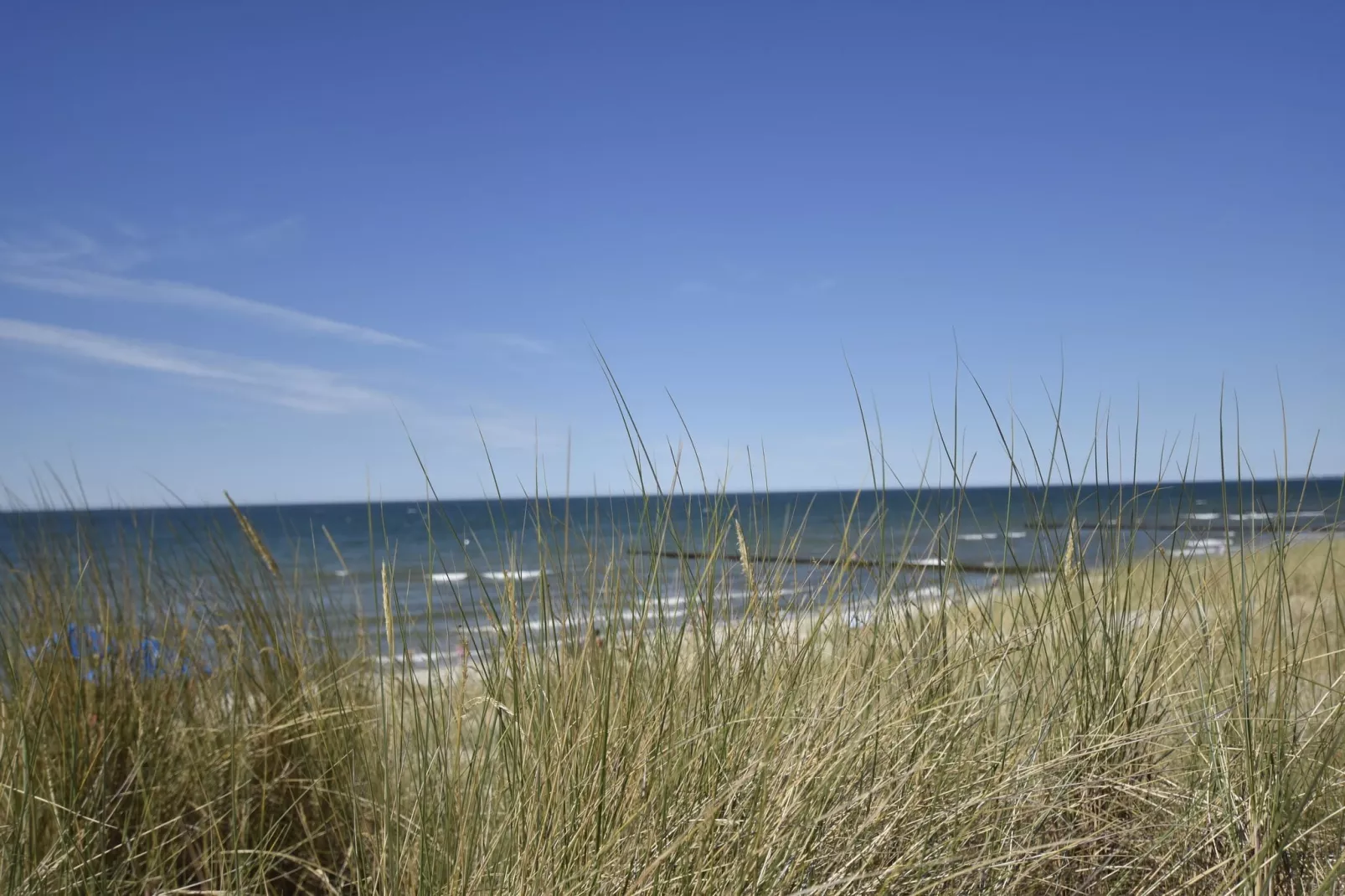 Wohlfühlen am Meer-Gebieden zomer 1km