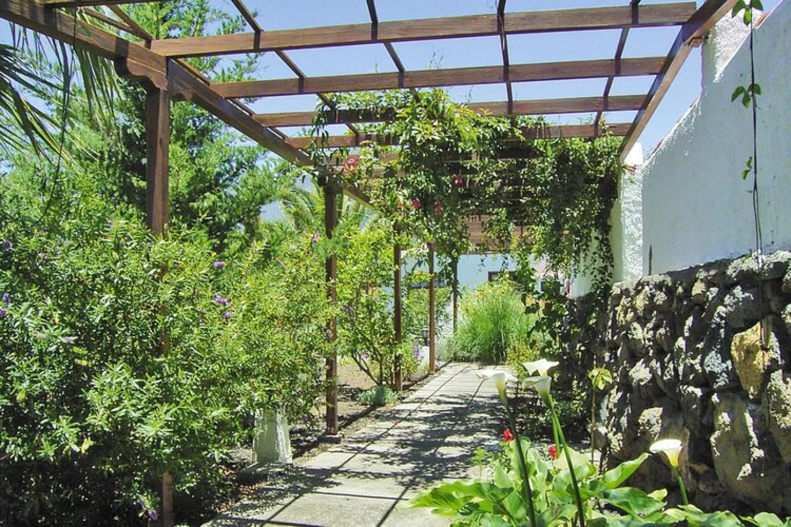 Casa Benito-Tuinen zomer