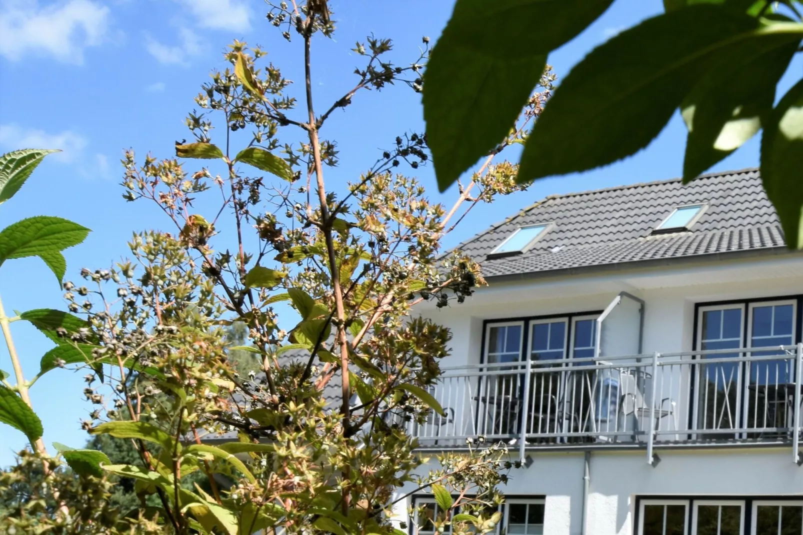 Bernstein mit Balkon am Sandstrand-Buitenkant zomer