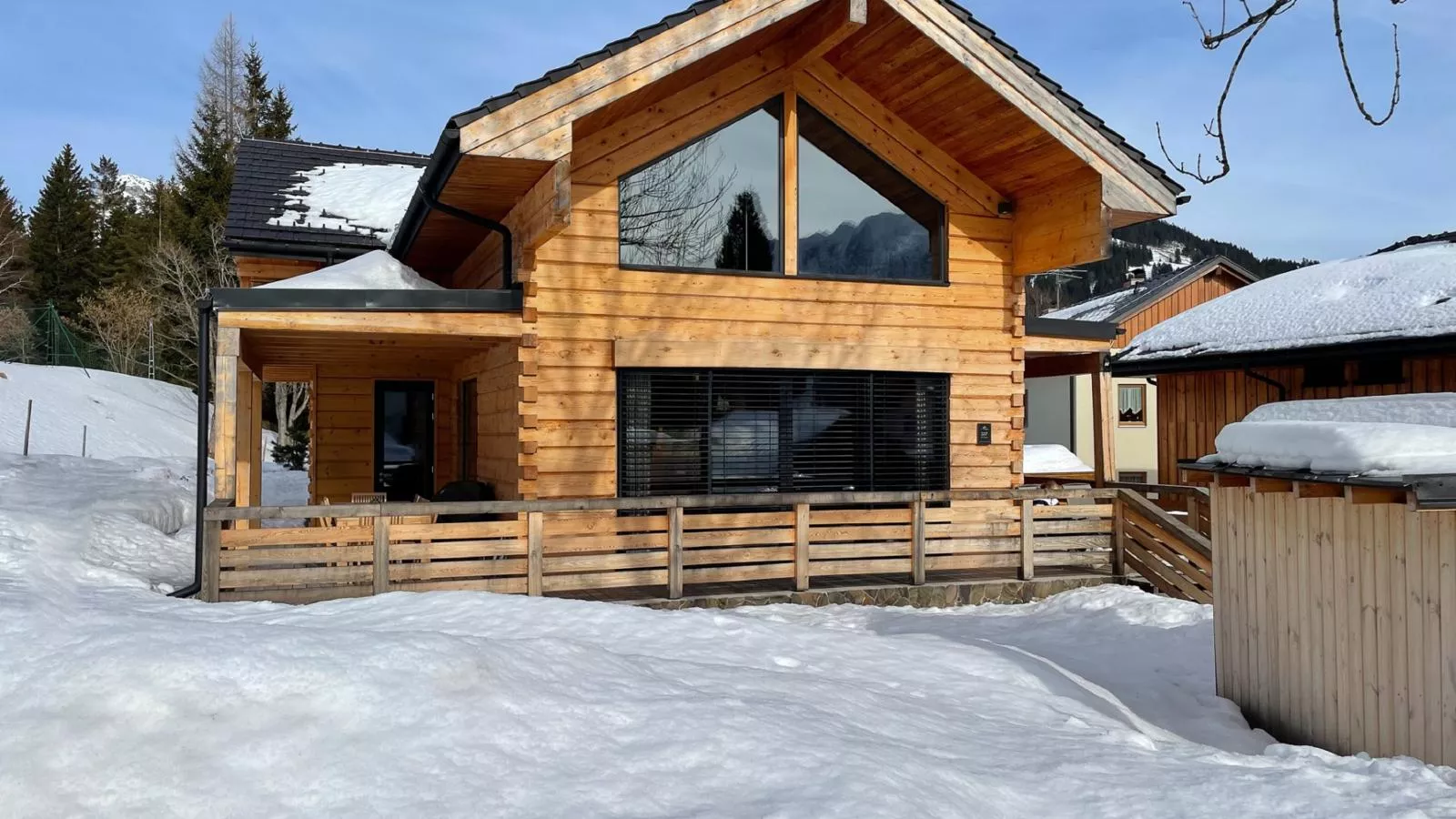 Holzchalet Tauplitz-Exterieur winter