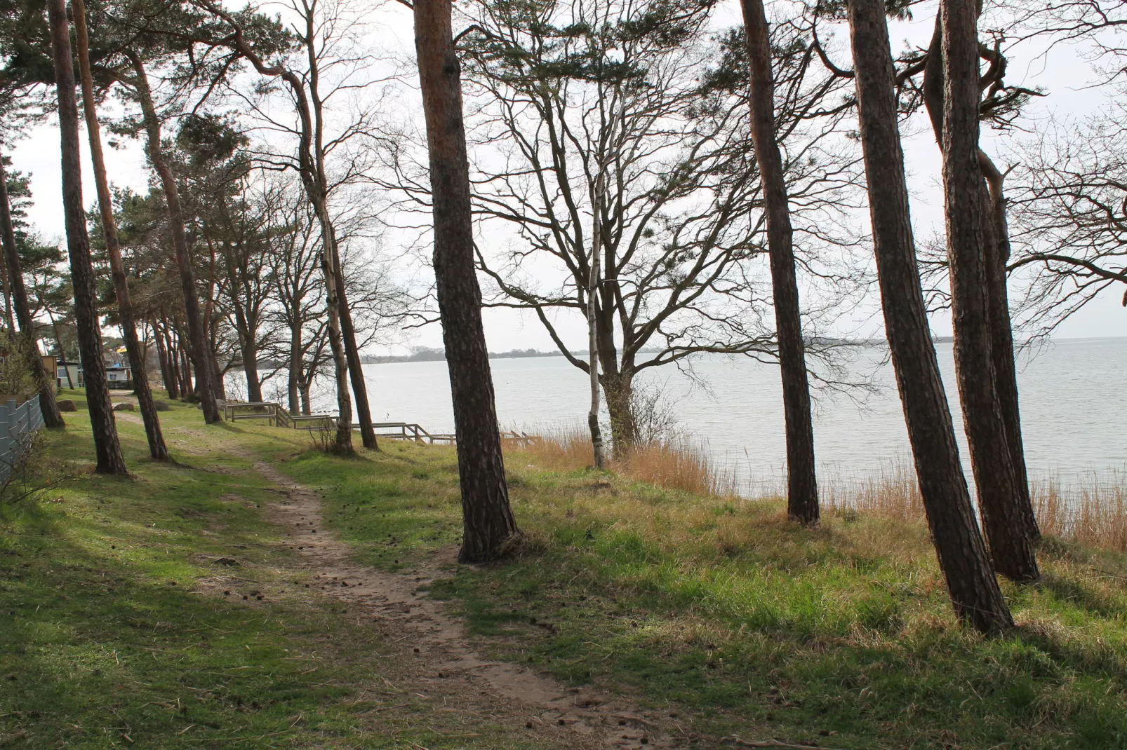 Am Strand-Gebieden zomer 1km