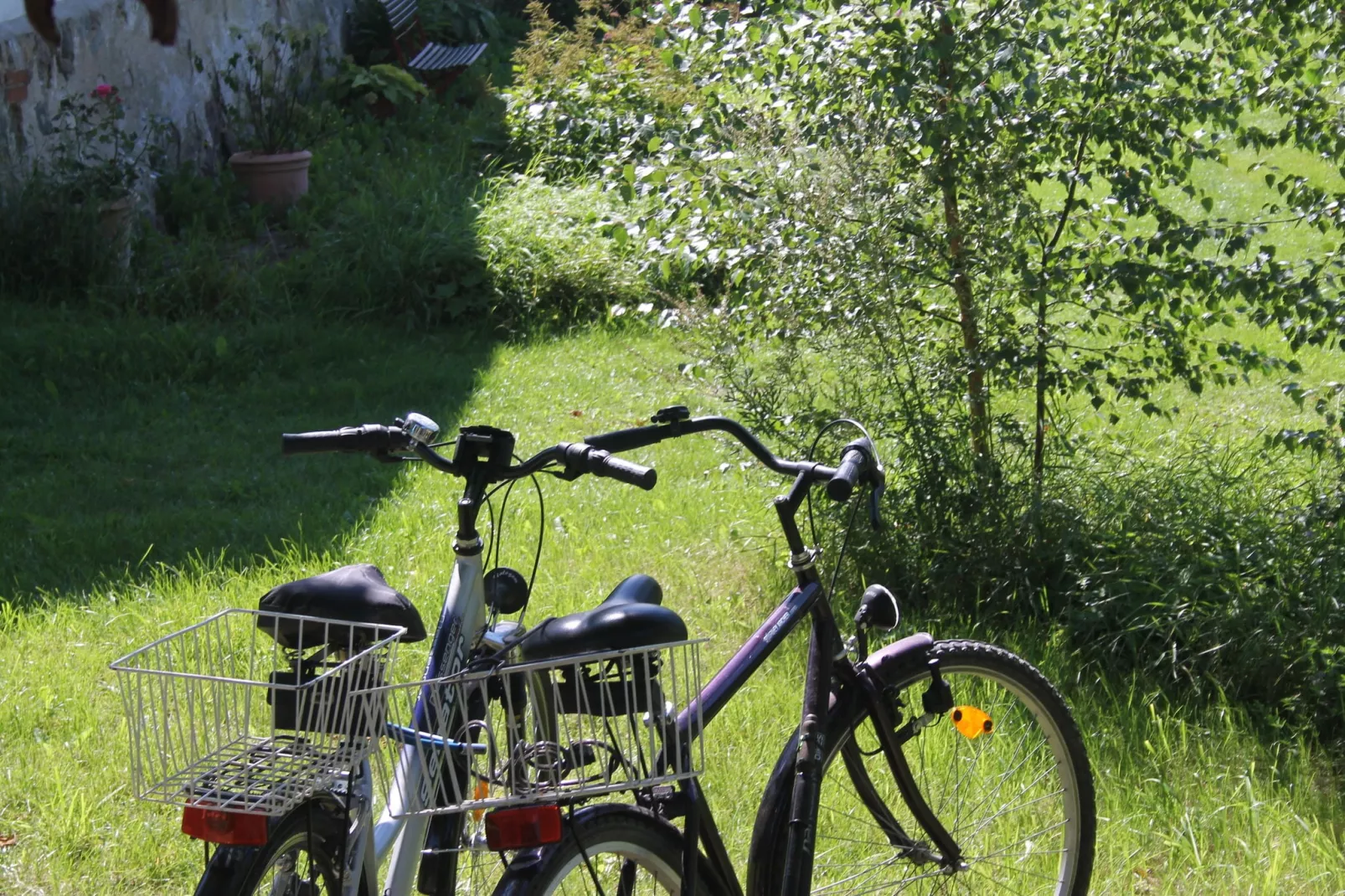 Hagen-Tuinen zomer