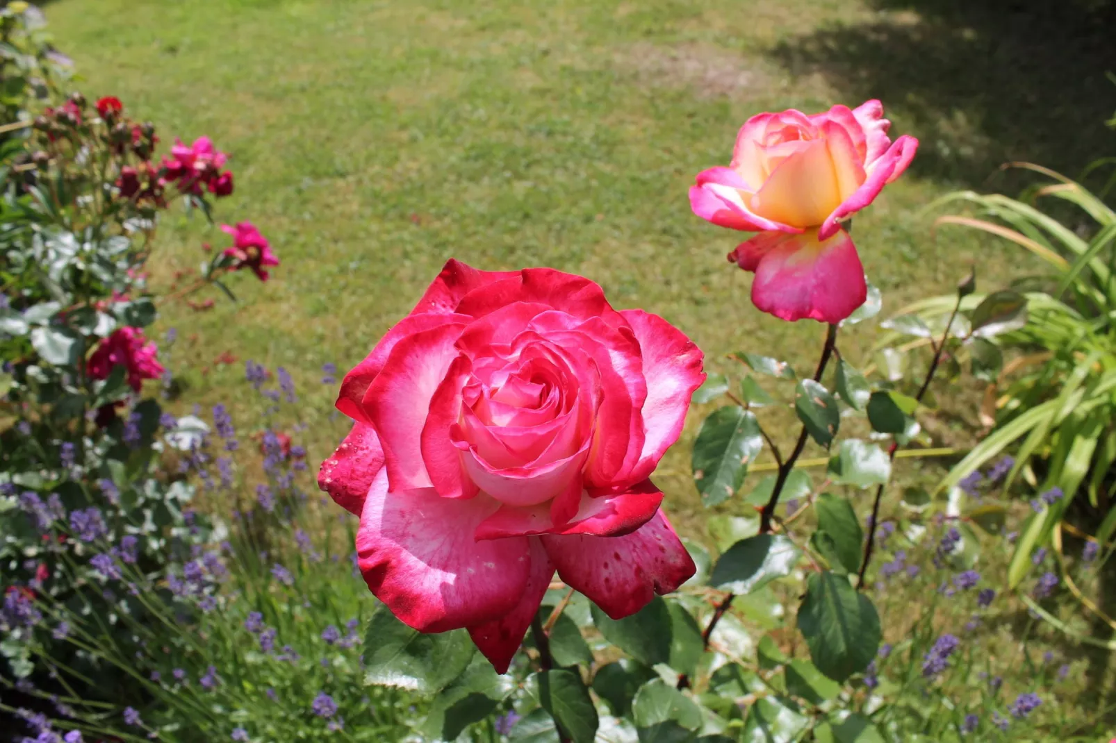 Ferienwohnung mit großem Garten-Sfeer