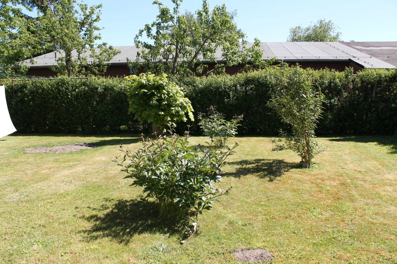 Ferienwohnung mit großem Garten-Uitzicht zomer