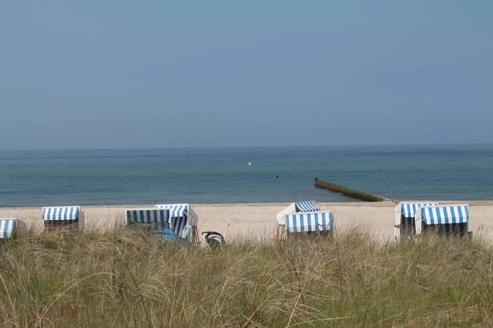 Bei Ostseebad Rerik-Gebieden zomer 5km