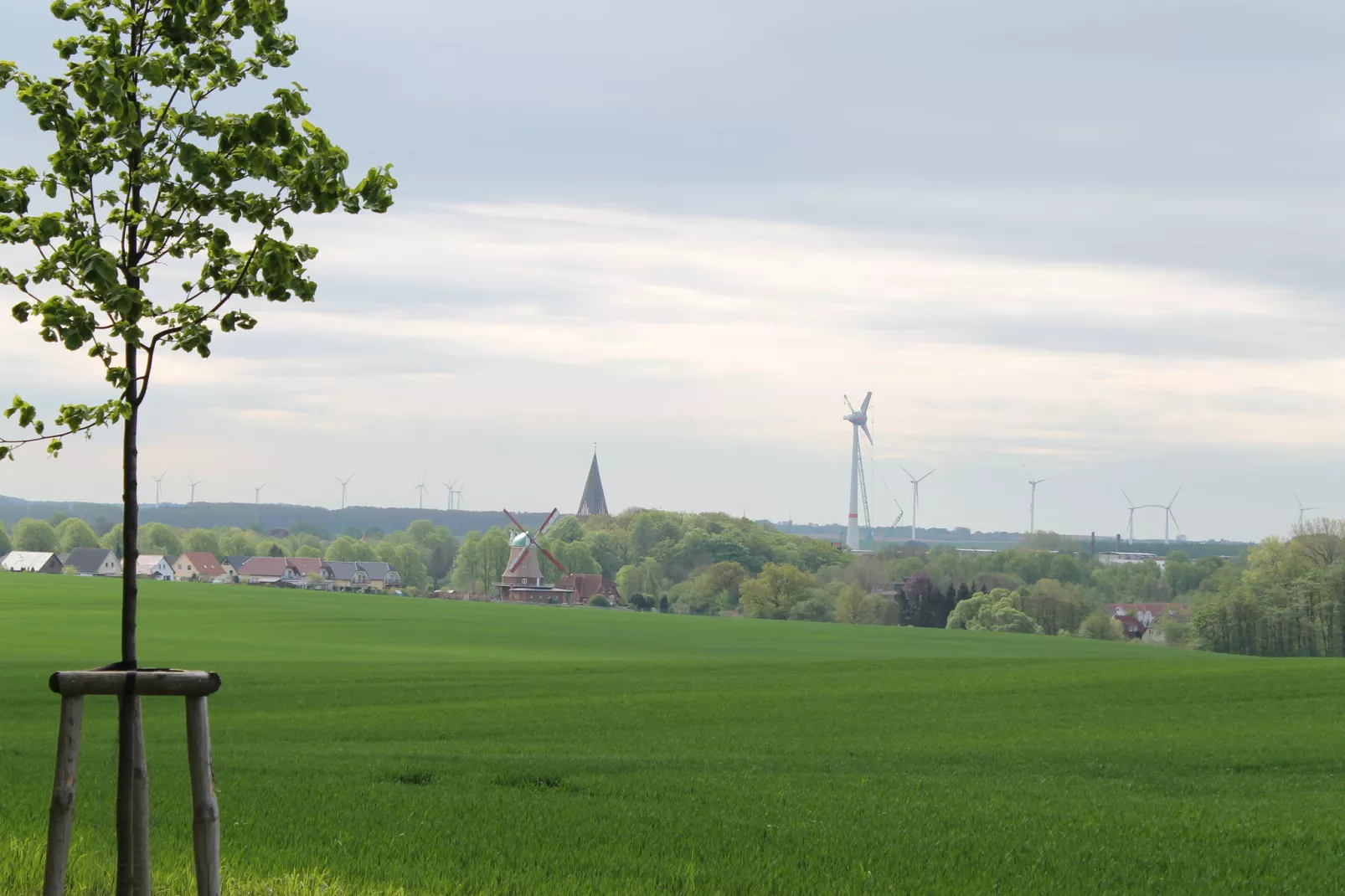 Bei Ostseebad Rerik-Uitzicht zomer