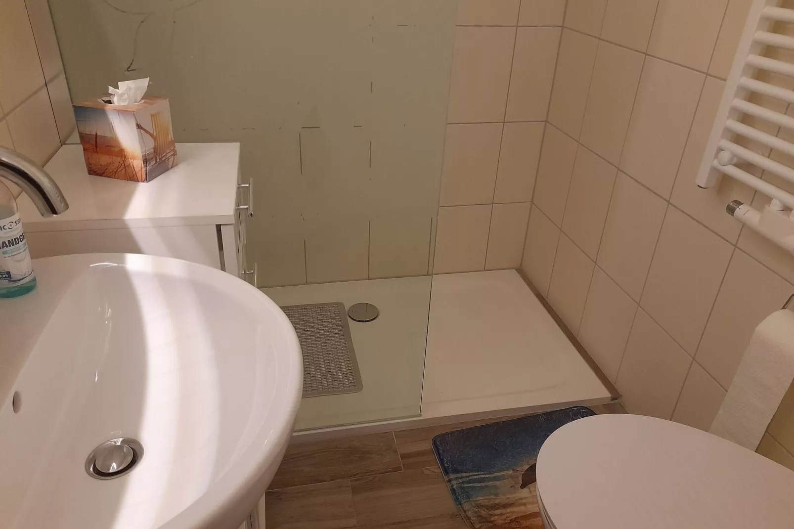 Wiesenblick-Badkamer