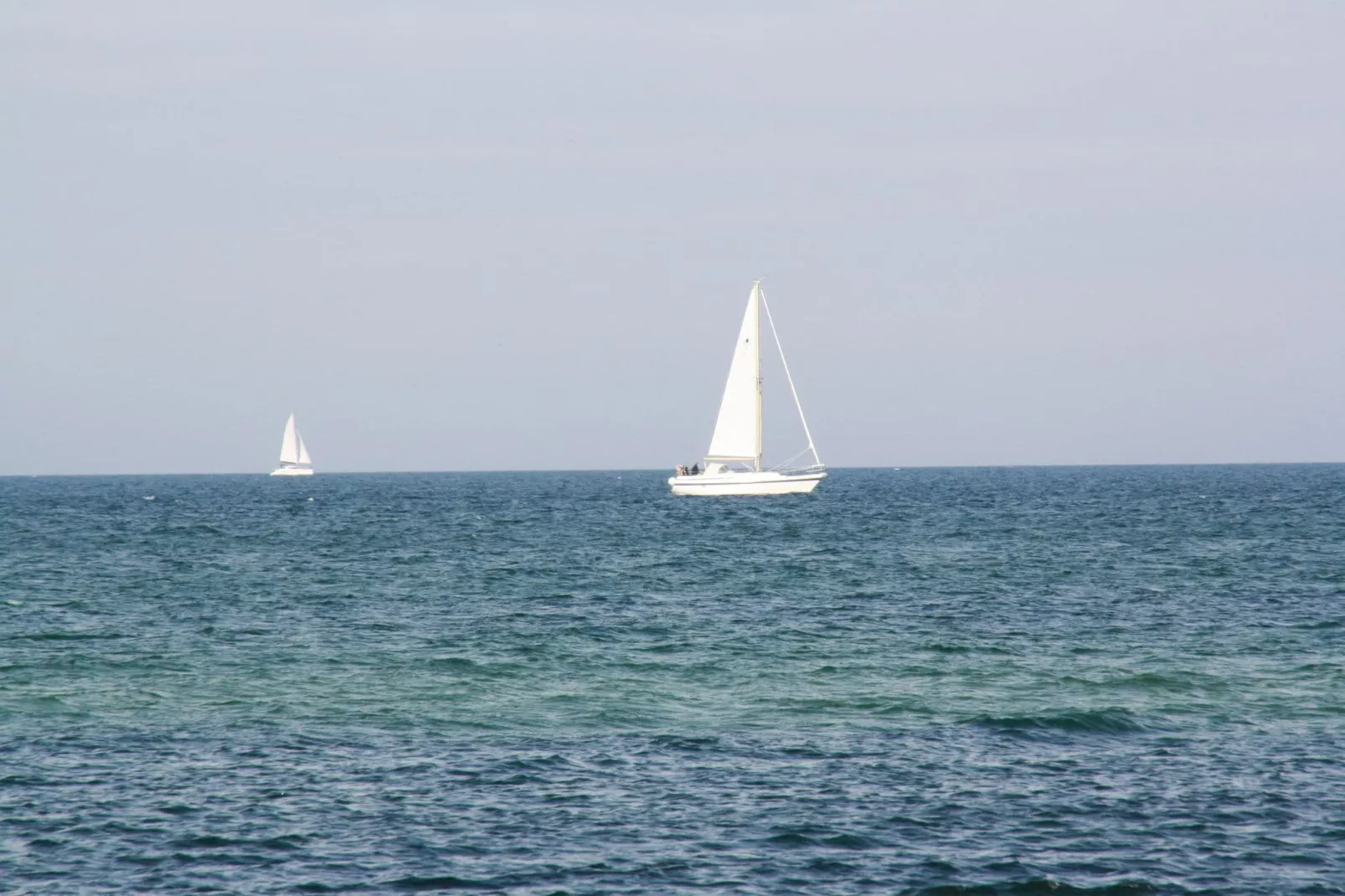 Blütenzauber-Gebieden zomer 1km