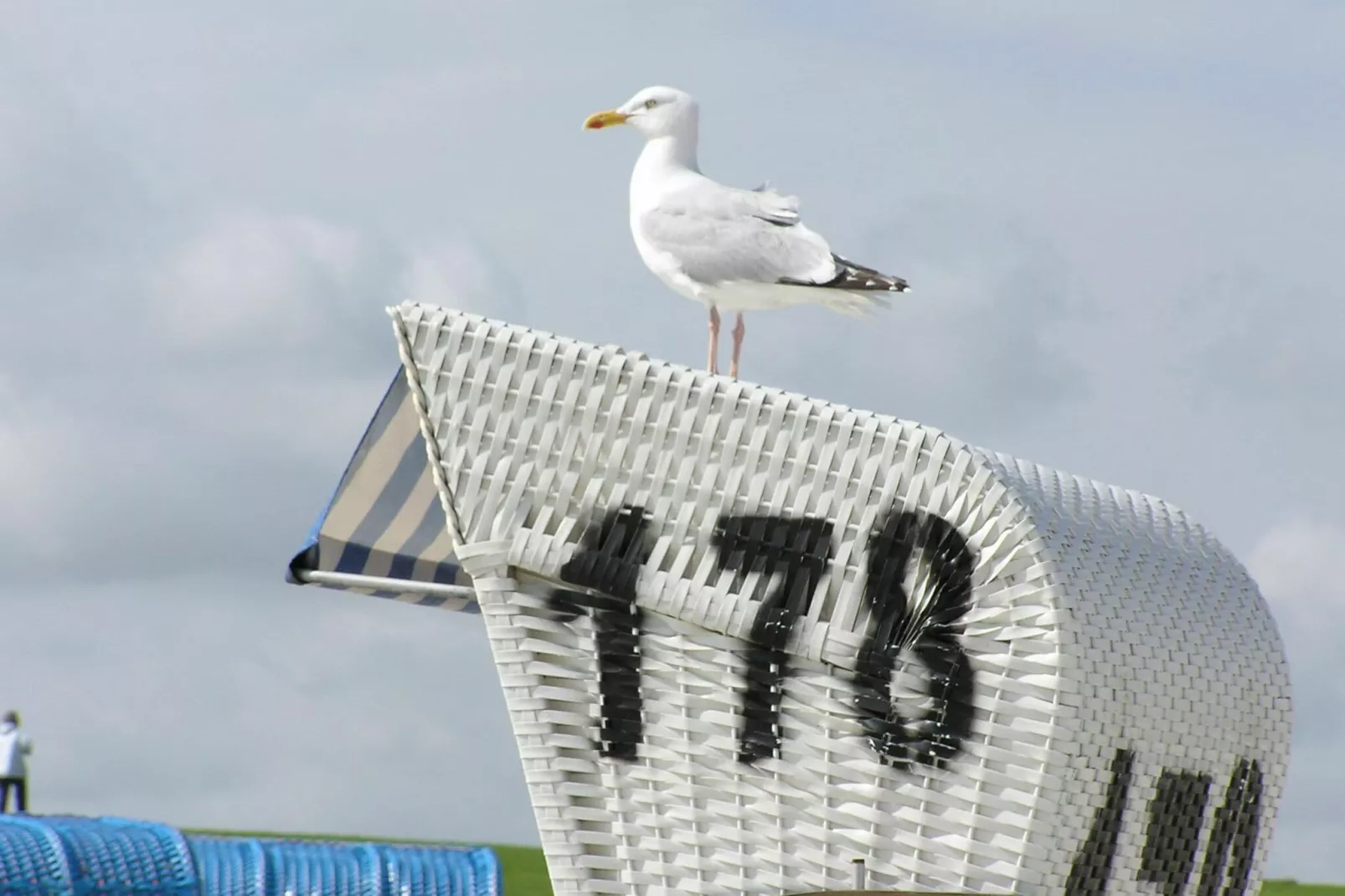 Ferienwohnung Albatross - strandnaher Urlaub Ostseebad Rerik-Sfeer