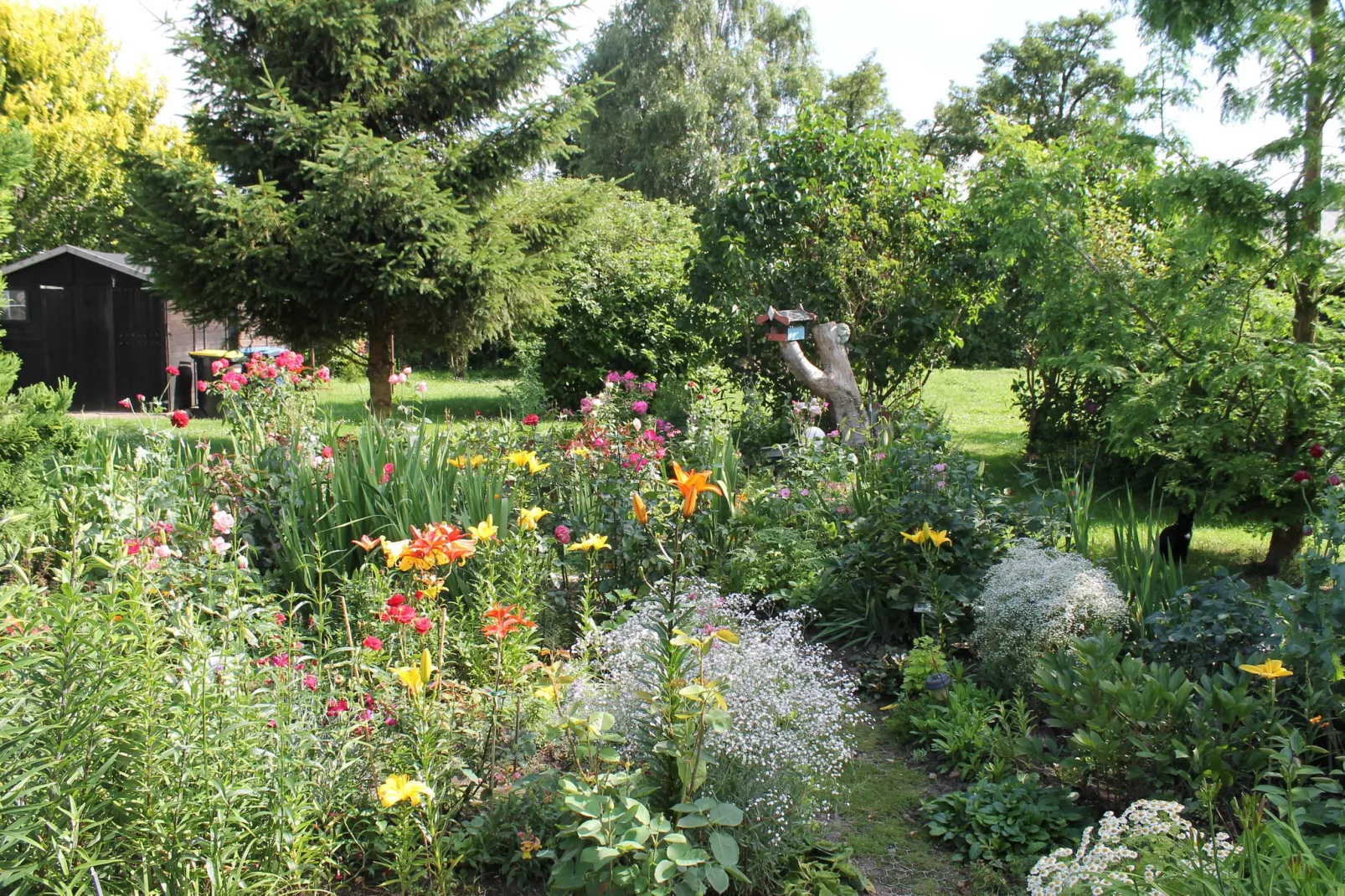 Wohnen im Grünen mit großem Garten und Grill-Buitenkant zomer