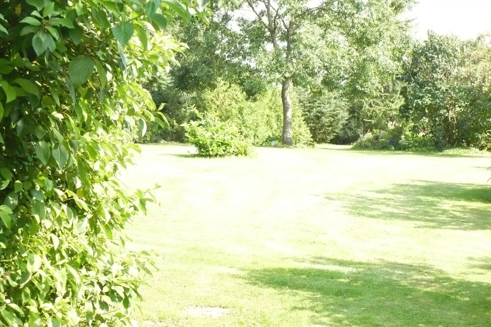 Wohnen im Grünen mit großem Garten und Grill-Tuinen zomer