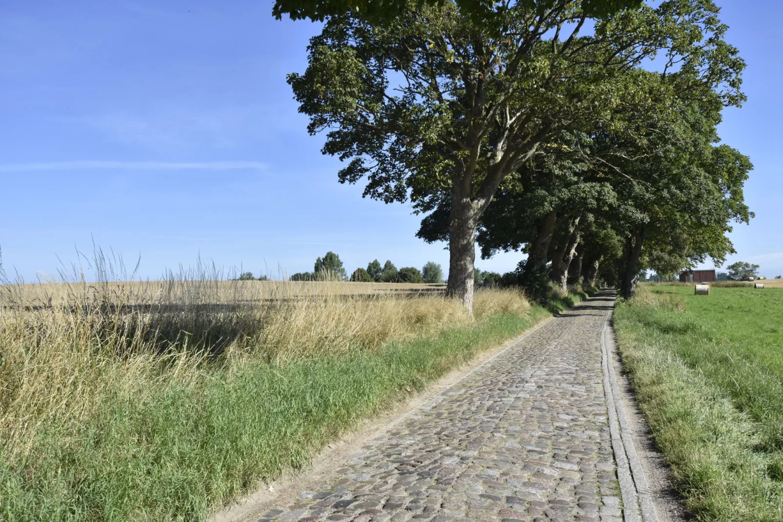 Ferienwohnung Alte Ziegelei-Gebieden zomer 1km