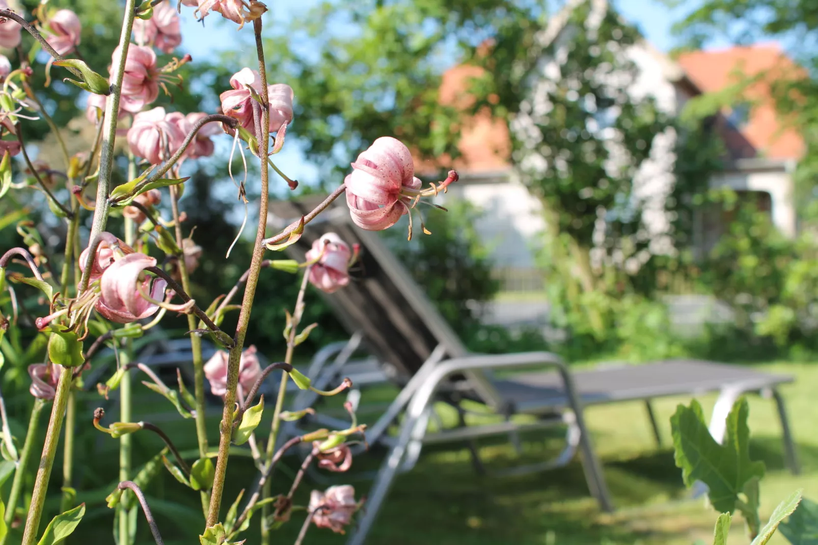 Romantische Ferienwohnung an der Ostsee mit Garten-Sfeer