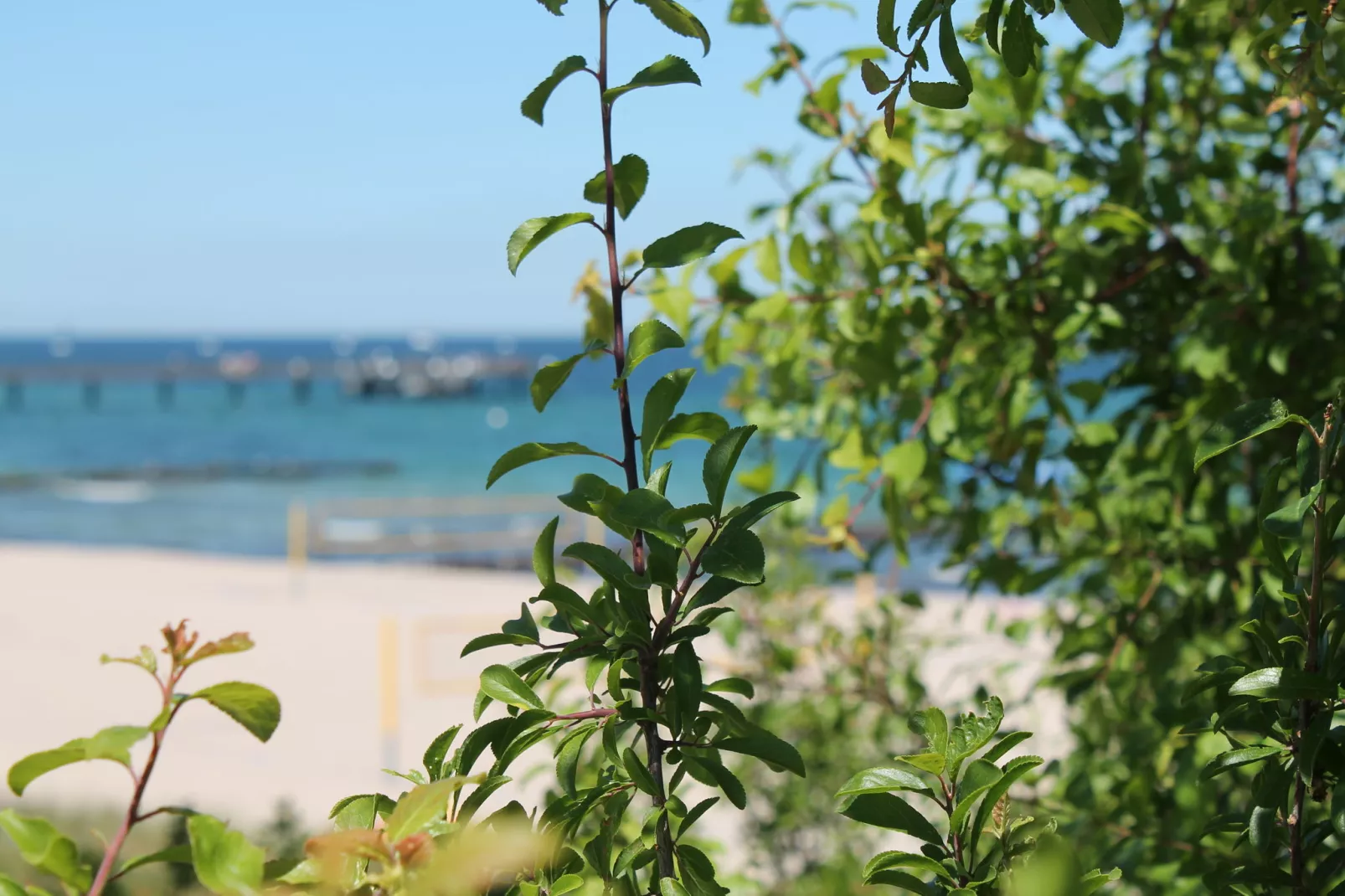 Landhauswohnung an der Ostsee mit Garten-Gebieden zomer 20km