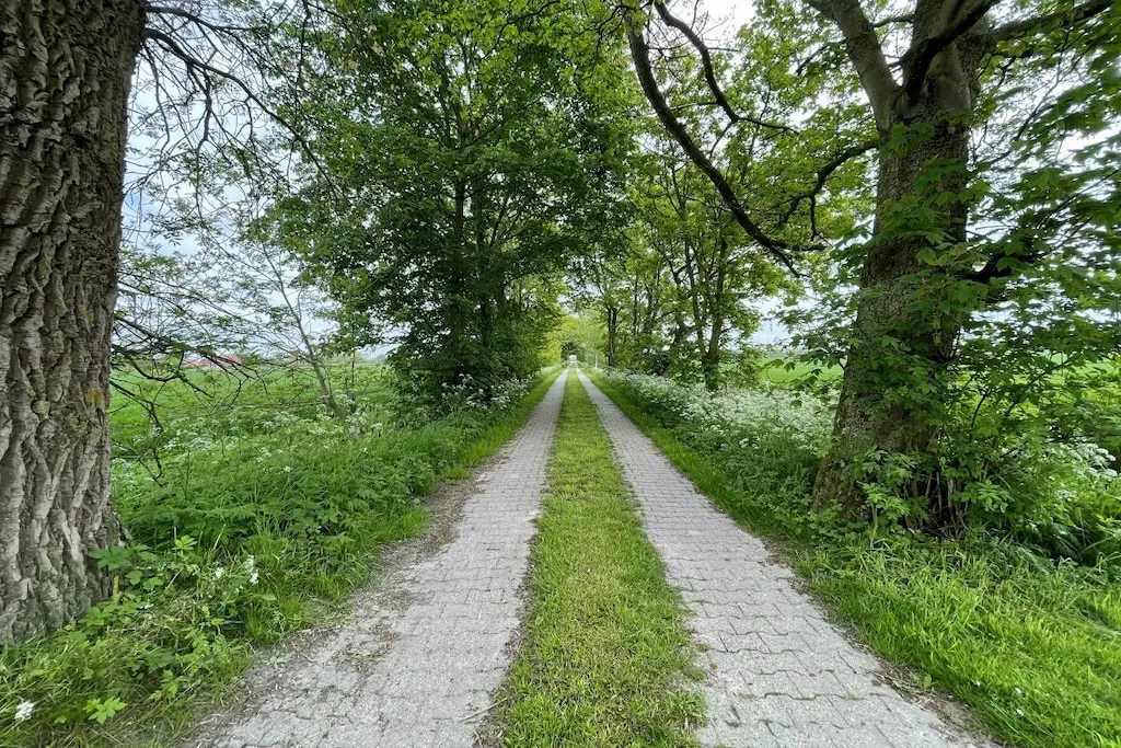 491572-Niet-getagd