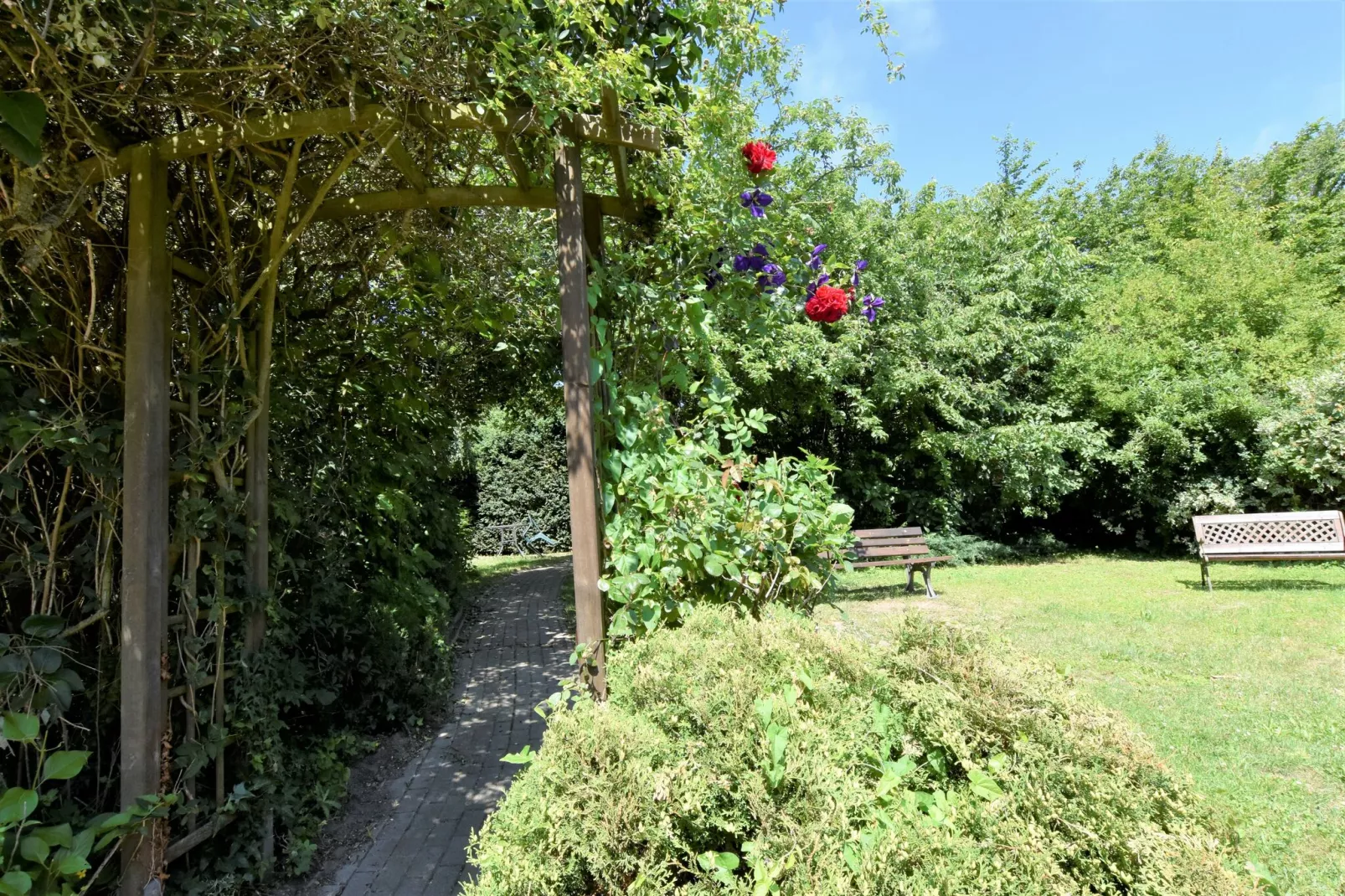 terracebalcony