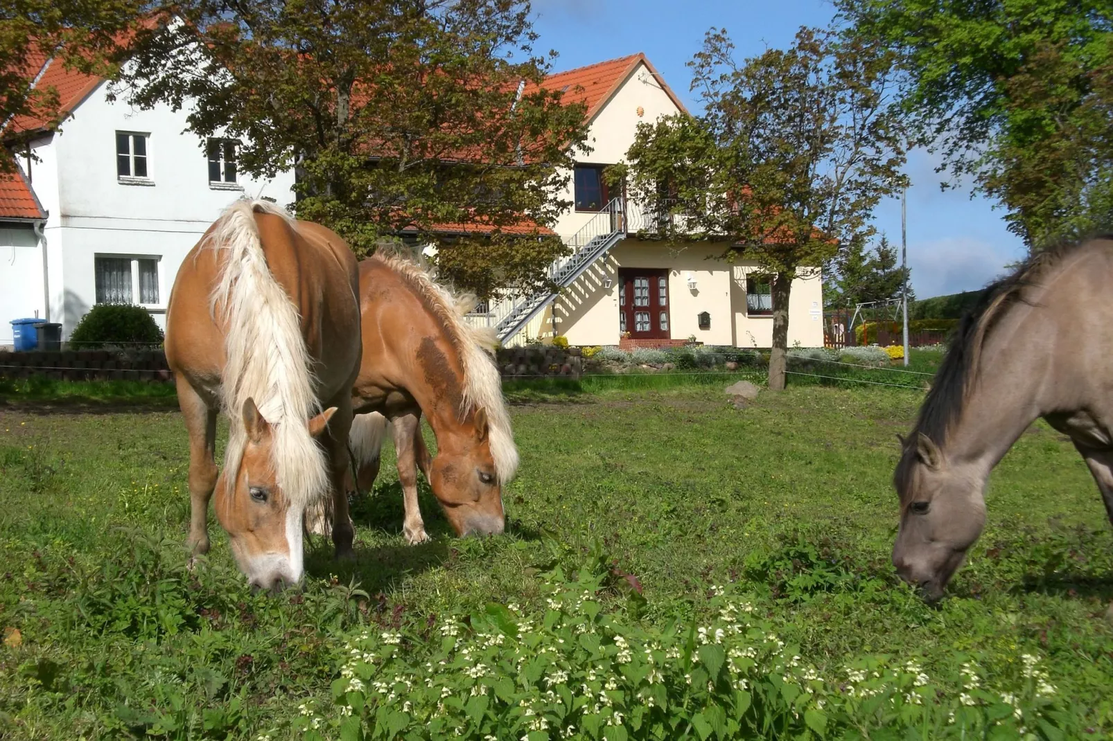 Ferienwohnung mit Gartenblick-Sfeer