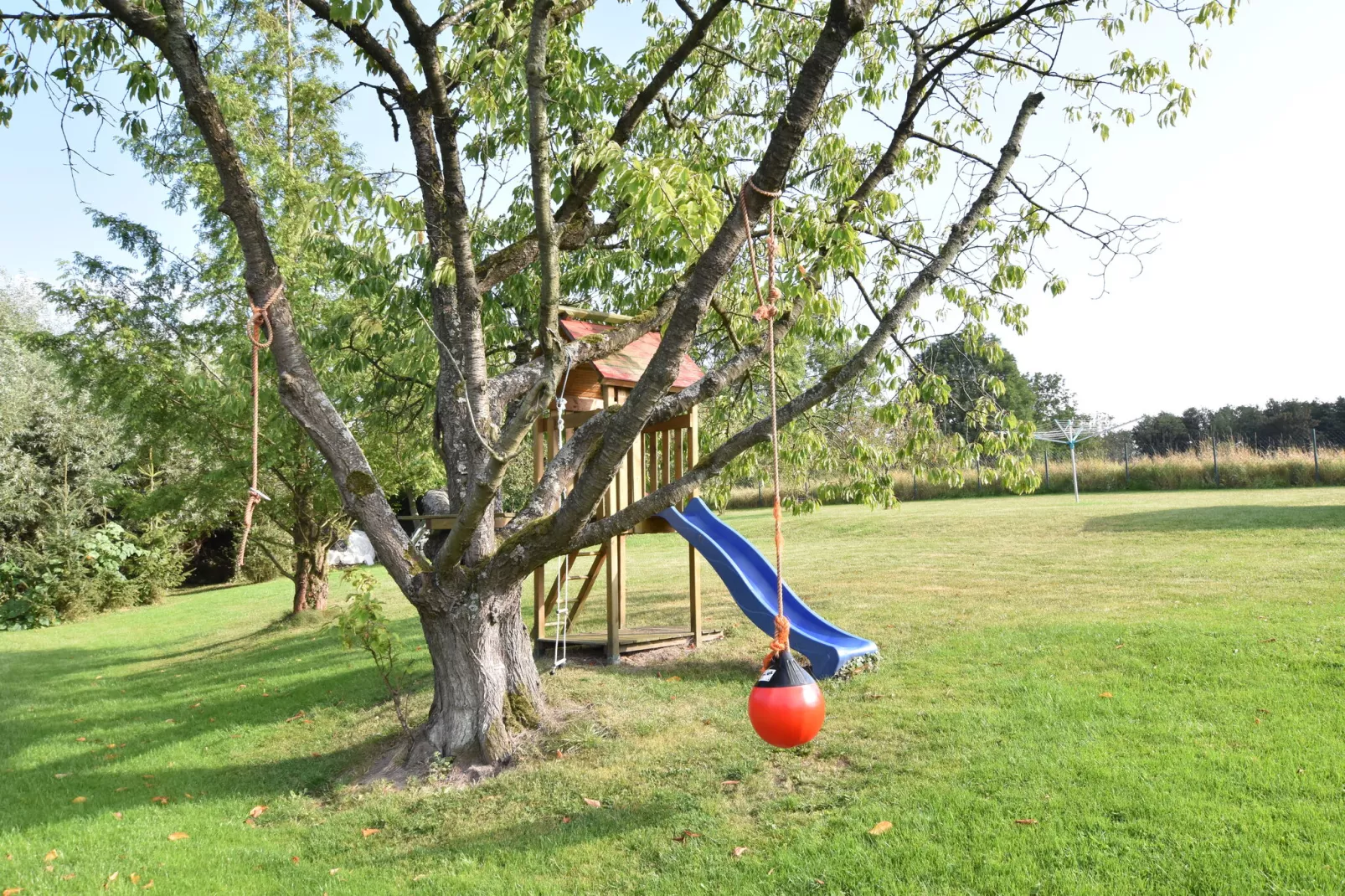 Platz im Grünen 1-Tuinen zomer