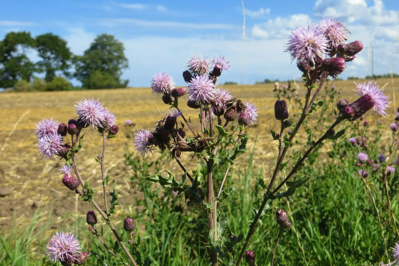 Seeblick-Sfeer