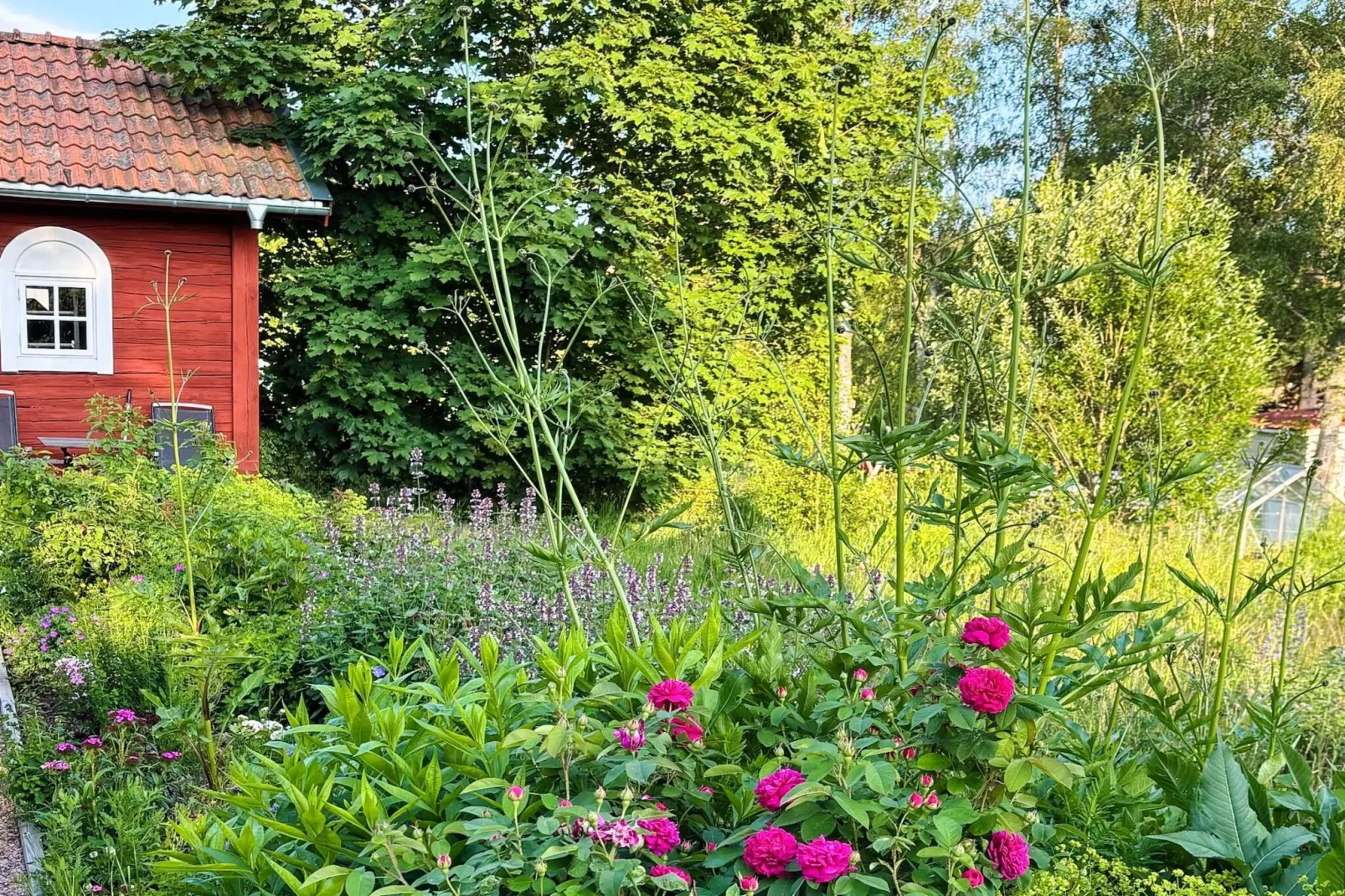 9 persoons vakantie huis in Bellö-By Traum-Buitenlucht