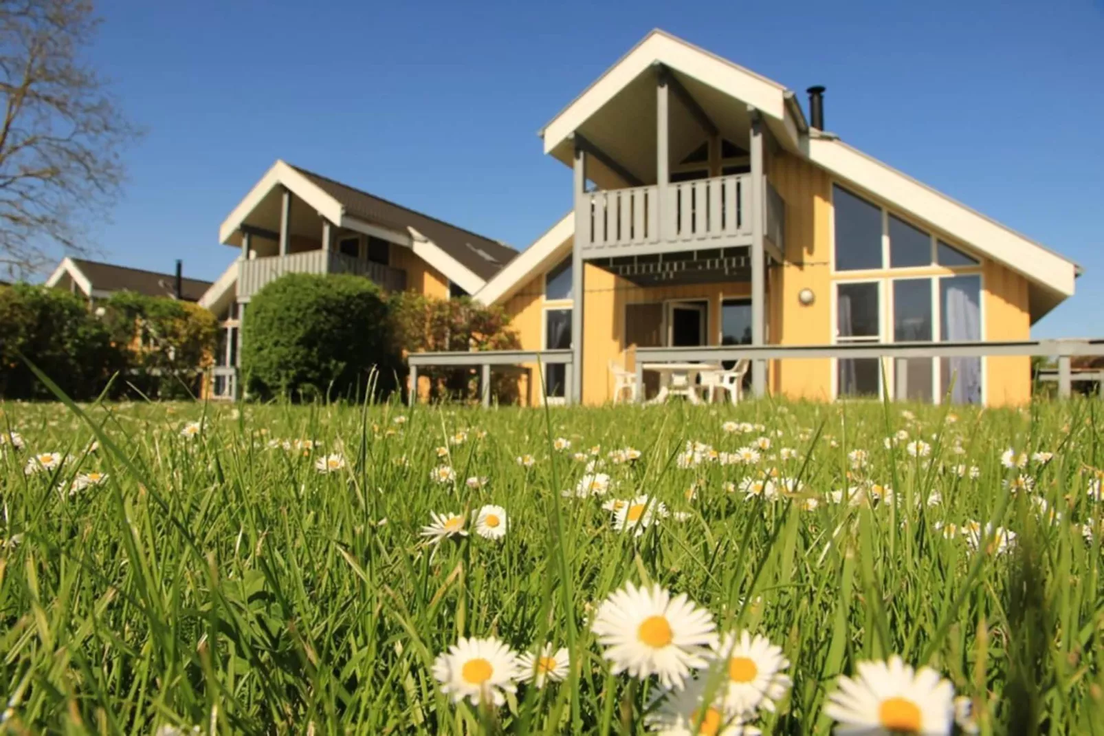 Ferienhaus Seeschwalbe-Classic 90 qm 41-Tuinen zomer