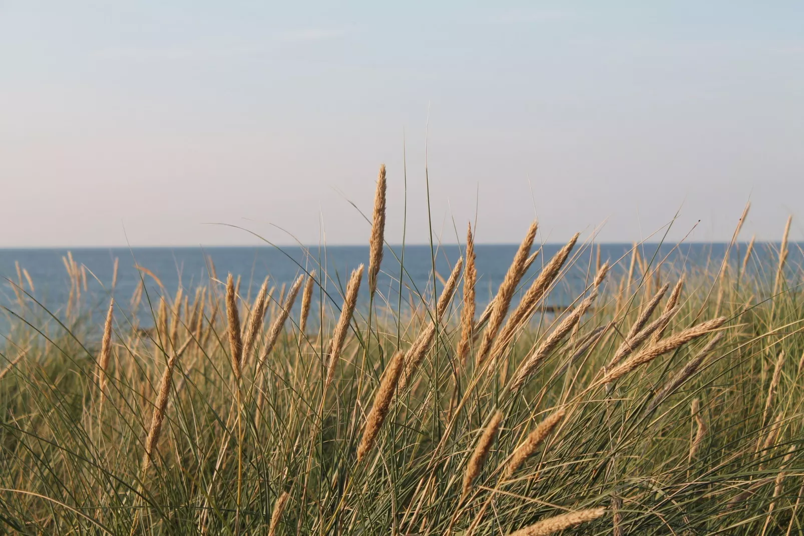 Arko 2 dicht am feinsandigen Strand-Gebieden zomer 1km