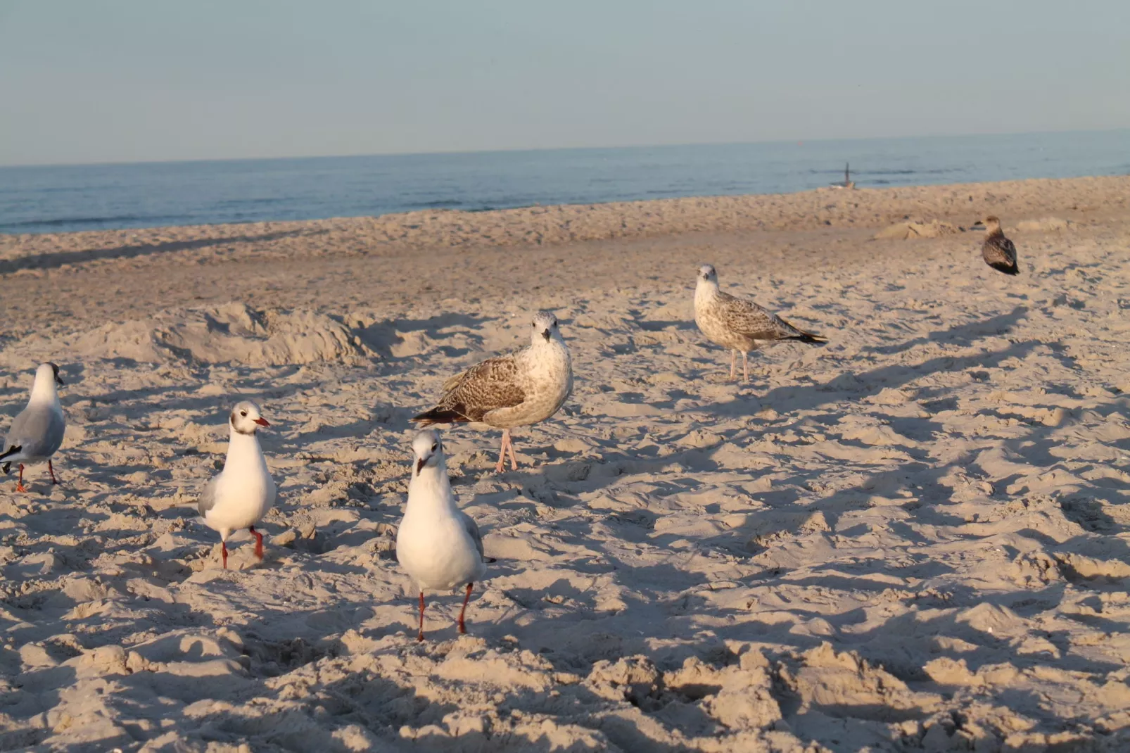 Arko 2 dicht am feinsandigen Strand-Sfeer