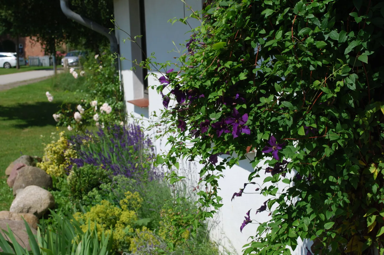 Wohnung Dänholm-Tuinen zomer