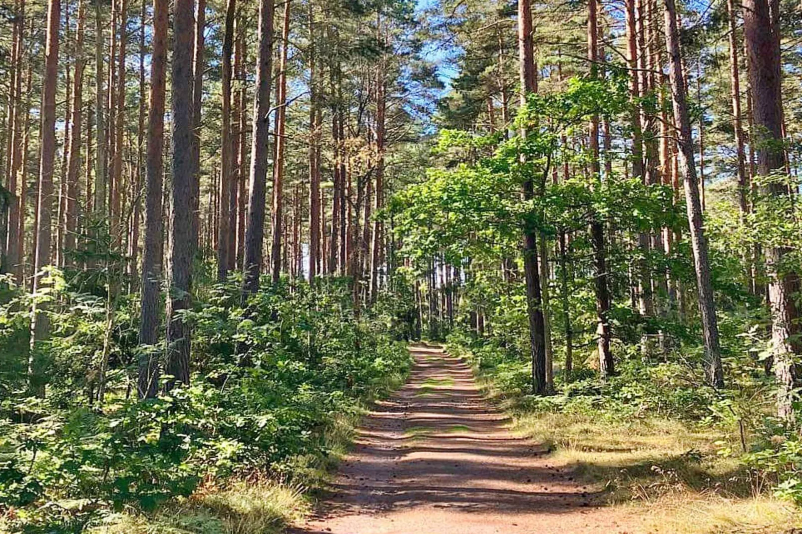 6 persoons vakantie huis in ROCKNEBY-By Traum-Niet-getagd