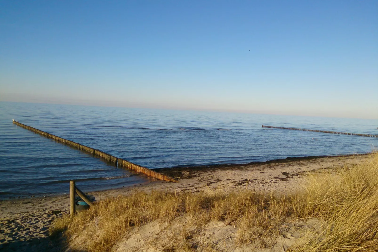 Bungalow Im Krabbenweg-Gebieden zomer 1km