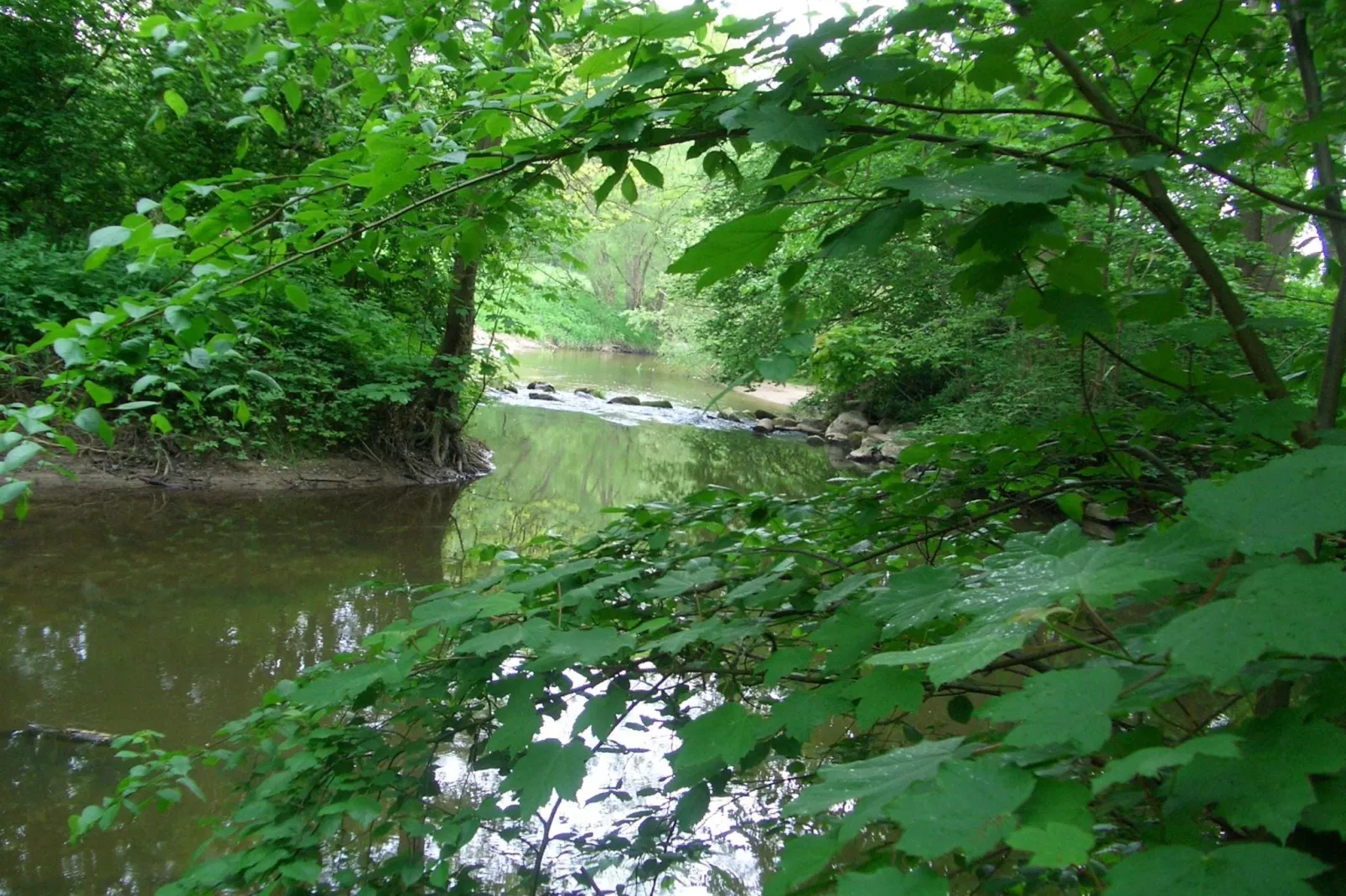 Am Hellbachtal Nr 1-Gebieden zomer 1km