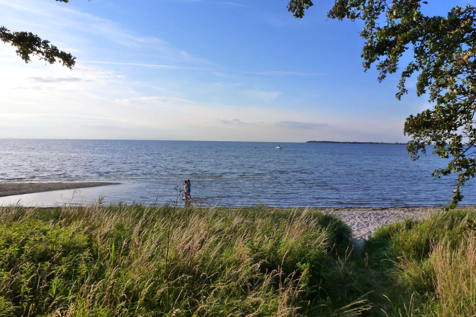 Ferienhaus ROD am Reiterhof-Gebieden zomer 1km